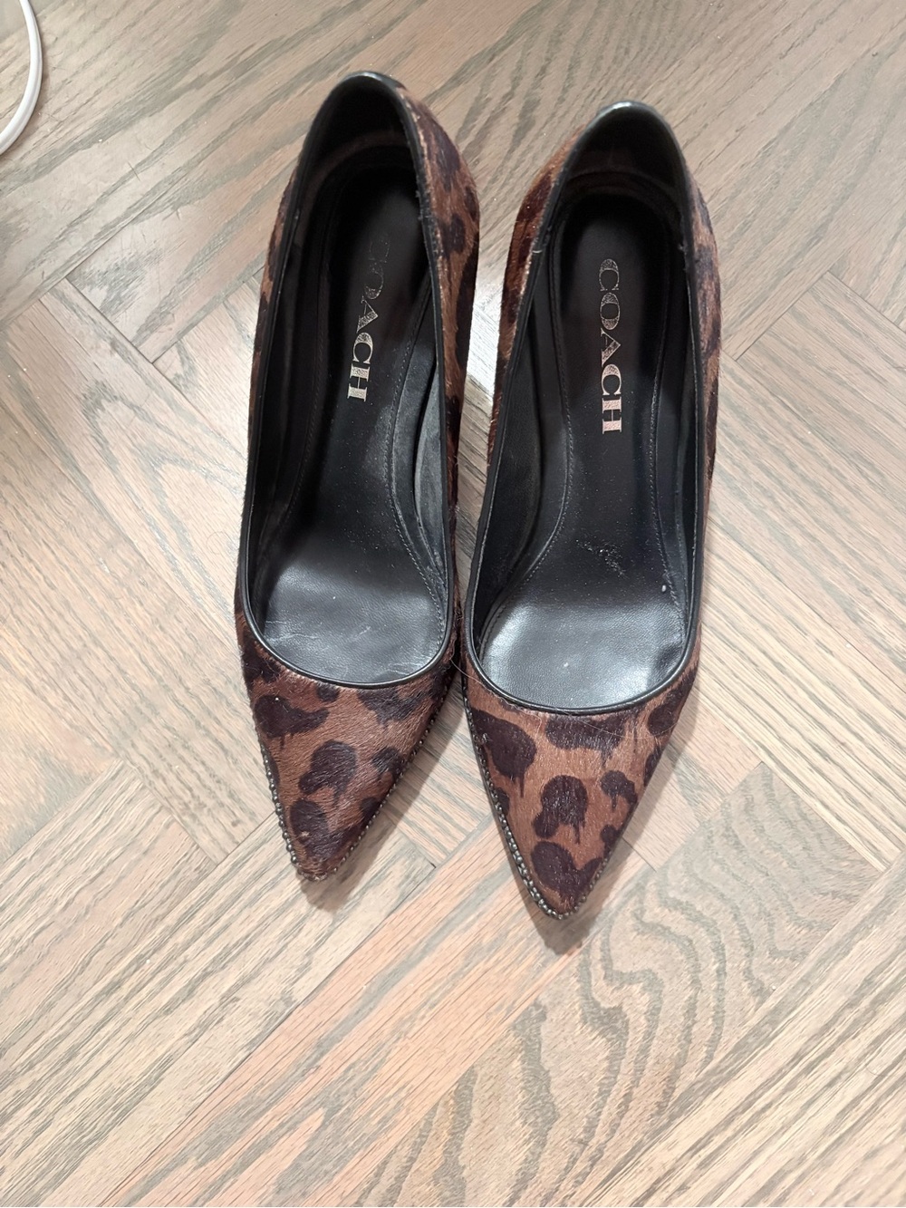 Coach Leopard-Print Pointed Toe Pumps in Brown and Black